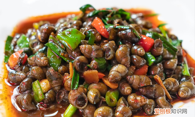 洗田螺的吐沙正确方法