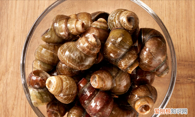 洗田螺的吐沙正确方法