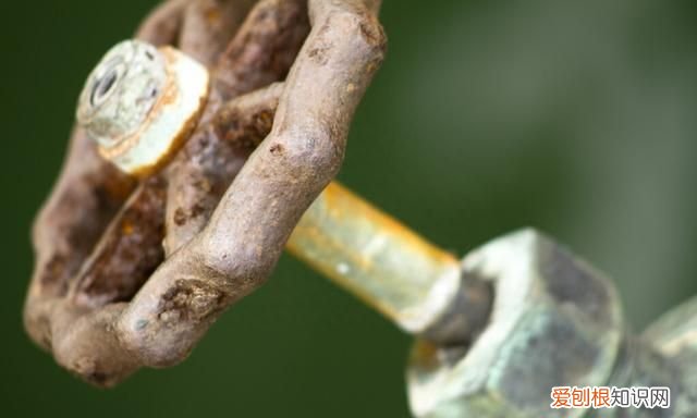 家里东西生锈什么能除锈,家里生锈怎么去除小妙招