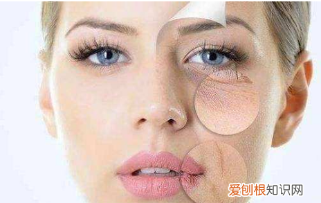 油皮干皮怎么区分,干性皮肤和油性皮肤的区别图片