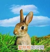 自然地理要素有哪些