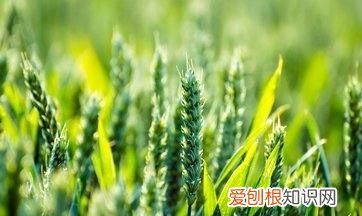 自然地理要素有哪些