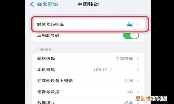苹果2怎么设置主卡副卡,苹果手机怎么设置主卡和副卡名称