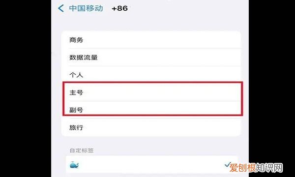 苹果2怎么设置主卡副卡,苹果手机怎么设置主卡和副卡名称