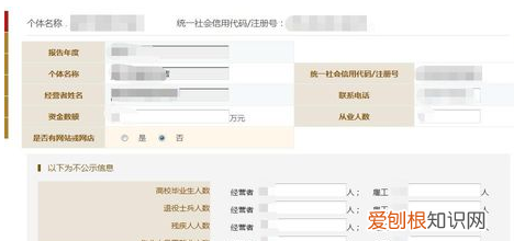企业网上年报怎么填写，如何补填报企业年度报告