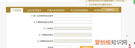 企业网上年报怎么填写,如何补填报企业年度报告