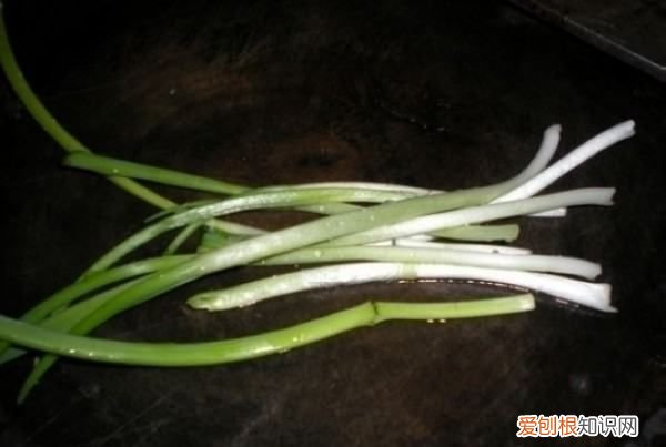 怎么煮生姜葱白水,葱白生姜水的正确做法窍门