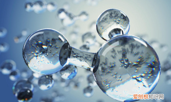 水分子进出细胞的方式有哪些,水分子主要通过什么方式进出细胞