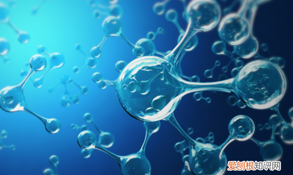 水分子进出细胞的方式有哪些,水分子主要通过什么方式进出细胞