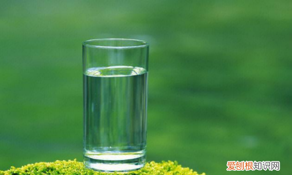 水分子进出细胞的方式有哪些,水分子主要通过什么方式进出细胞