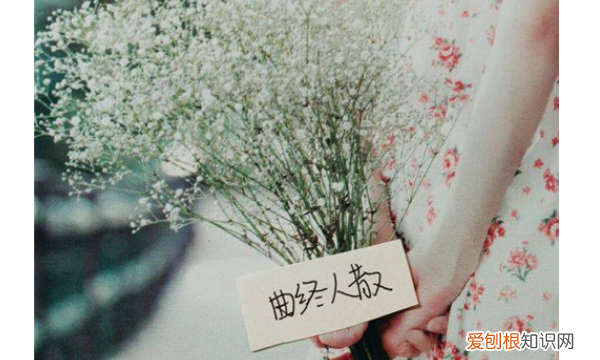 爱而不得的伤感句子