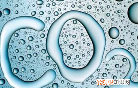 co2的结构式是什么,二氧化碳的结构式是什么样的