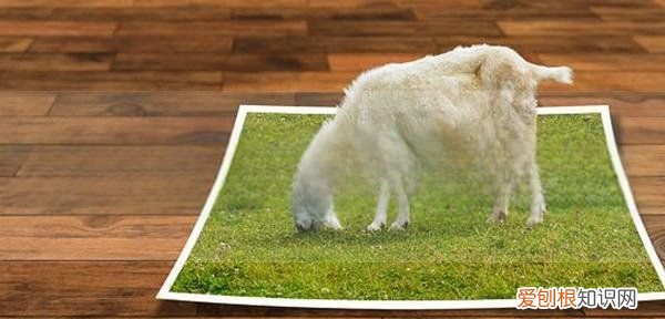 照片dpi怎么调,照片分辨率怎么调成300dpi