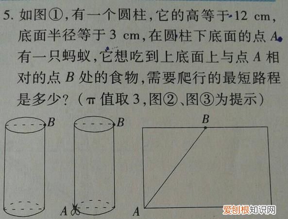 圆柱的高是长方形的什么,圆柱的高等于长方形的什么?