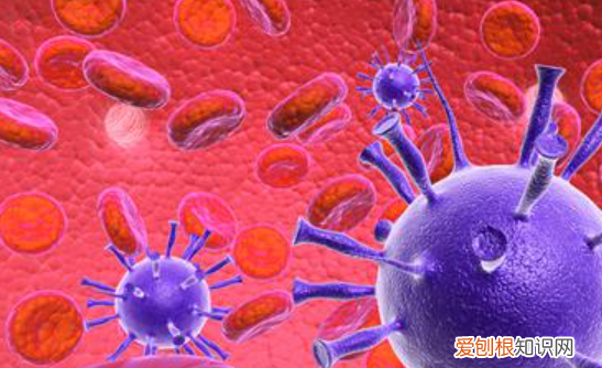 酶是细胞代谢的产物吗,为什么说酶是细胞代所必需的