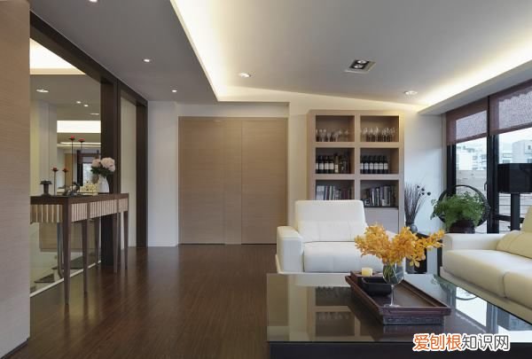 新装修房子怎么除甲醇,新装修的房子多久入住比较好呢