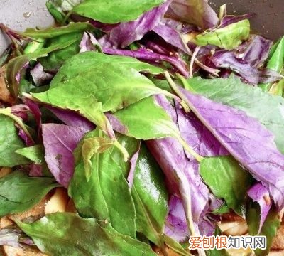 下饭神菜血皮菜猪肝