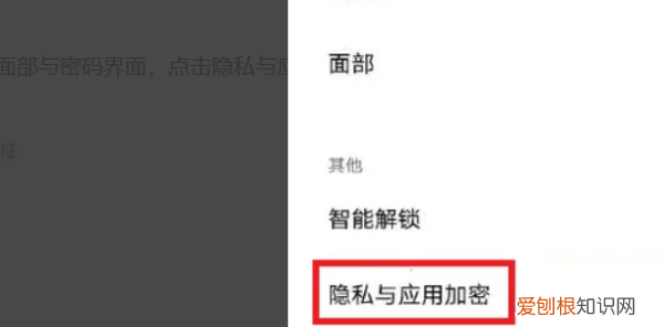 Vivo手机怎么才能，vivo软件隐藏了怎么找出来
