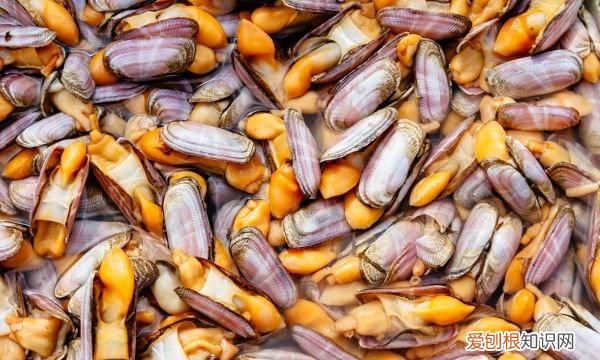 竹蛏怎么吃,竹蛏怎么做好吃有味道,好吃