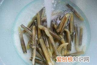 竹蛏怎么吃，竹蛏怎么做好吃有味道,好吃