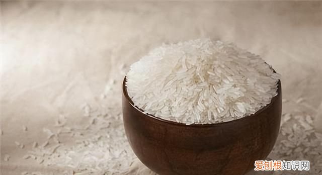 密封的大米为什么会生虫?还能不能吃?怎么防治呢