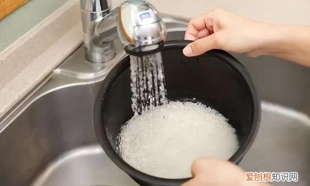 密封的大米为什么会生虫?还能不能吃?怎么防治呢