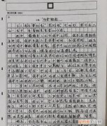 征文与作文的区别有什么不同