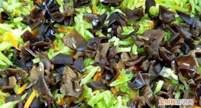 南瓜鸡蛋冬瓜,冬瓜南瓜鸡蛋