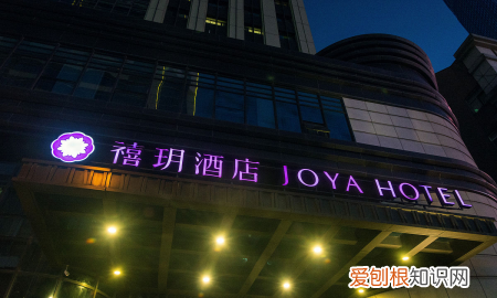 酒店管理与数字化运营专业学什么