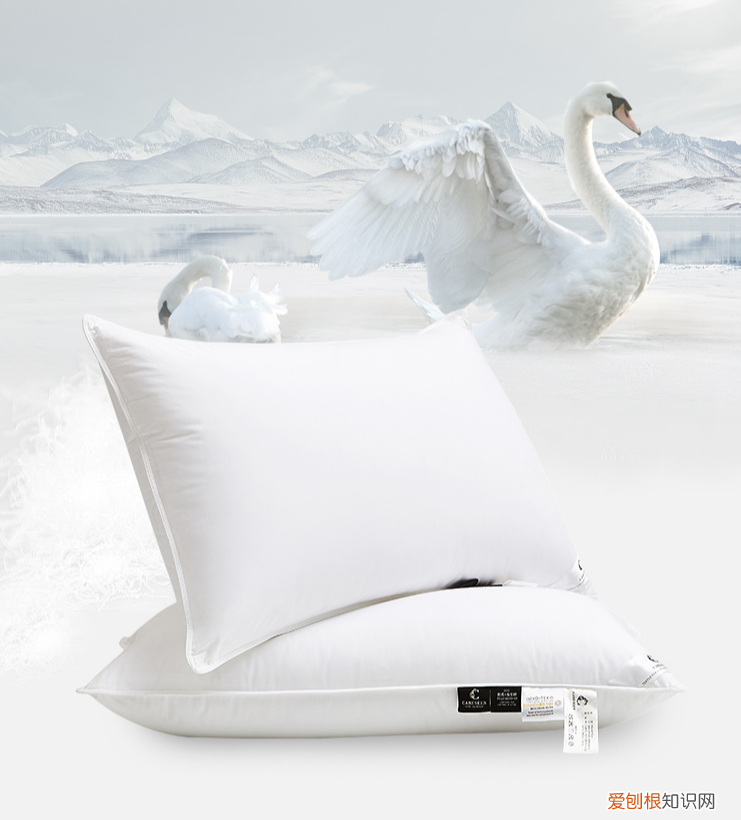 aisleep睡眠博士乳胶枕头泽呢么样?