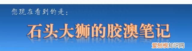 辽东半岛特色海参,胶东半岛海参特点