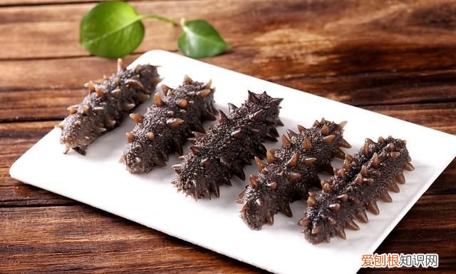 辽东半岛特色海参,胶东半岛海参特点