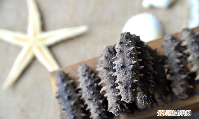 辽东半岛特色海参,胶东半岛海参特点