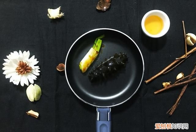 辽东半岛特色海参,胶东半岛海参特点