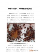 怎么灭掉家里的蟑螂，怎样彻底消灭家里的蟑螂