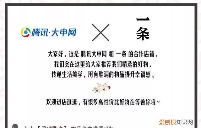 网红椰子冻的做法大全