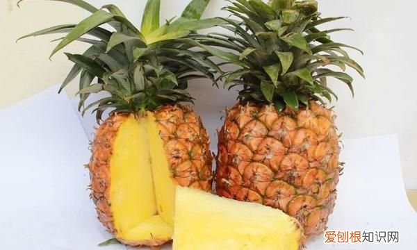凤梨长什么样,凤梨和菠萝怎么区分图片