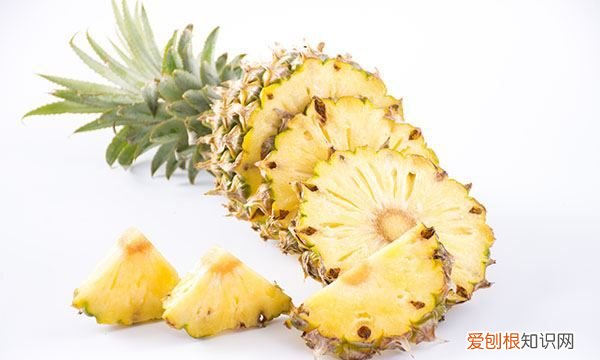 凤梨长什么样,凤梨和菠萝怎么区分图片