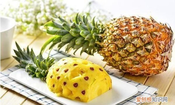 凤梨长什么样,凤梨和菠萝怎么区分图片