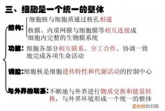 细胞质是什么，细胞核是什么库和什么的控制中心