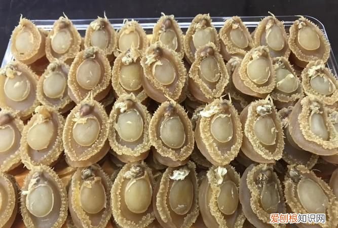 晒鲍鱼怎么晒,干鲍鱼长白霉点怎么清洗