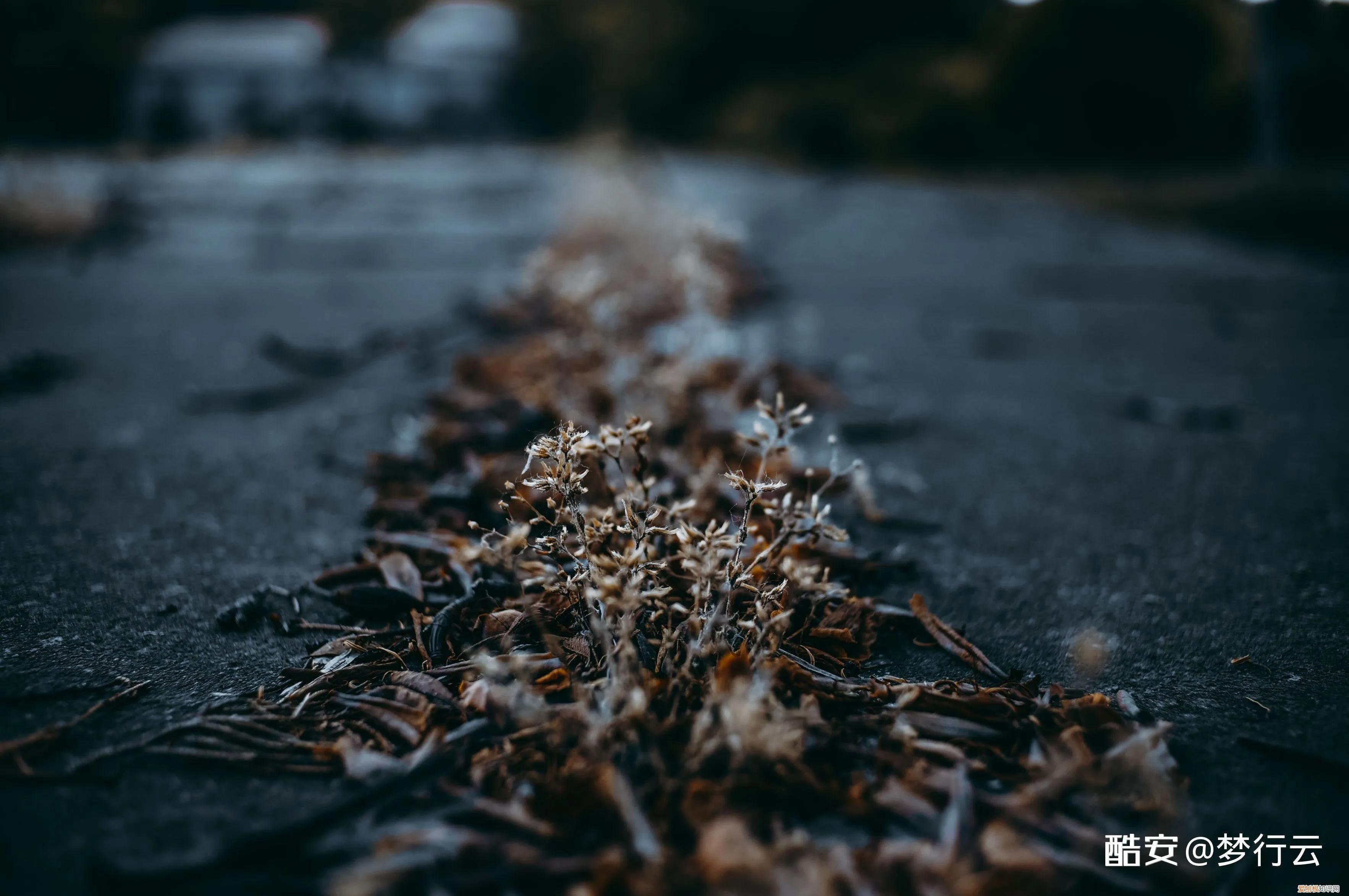 索尼nex3n值得买吗