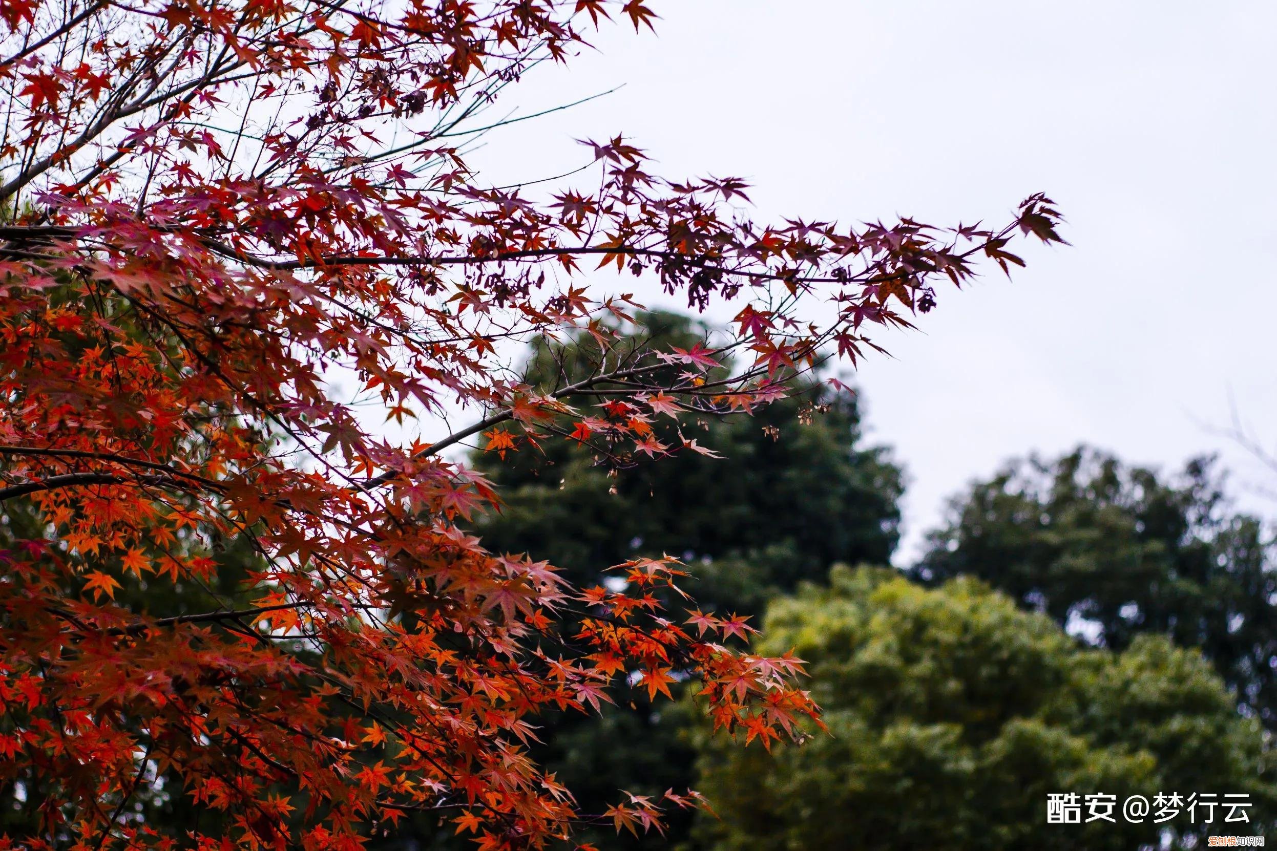 索尼nex3n值得买吗