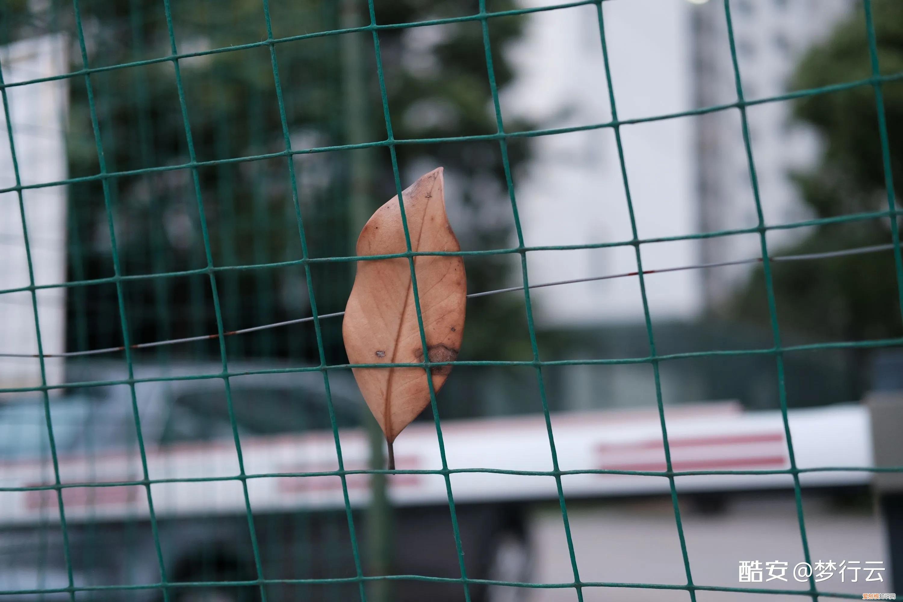 索尼nex3n值得买吗