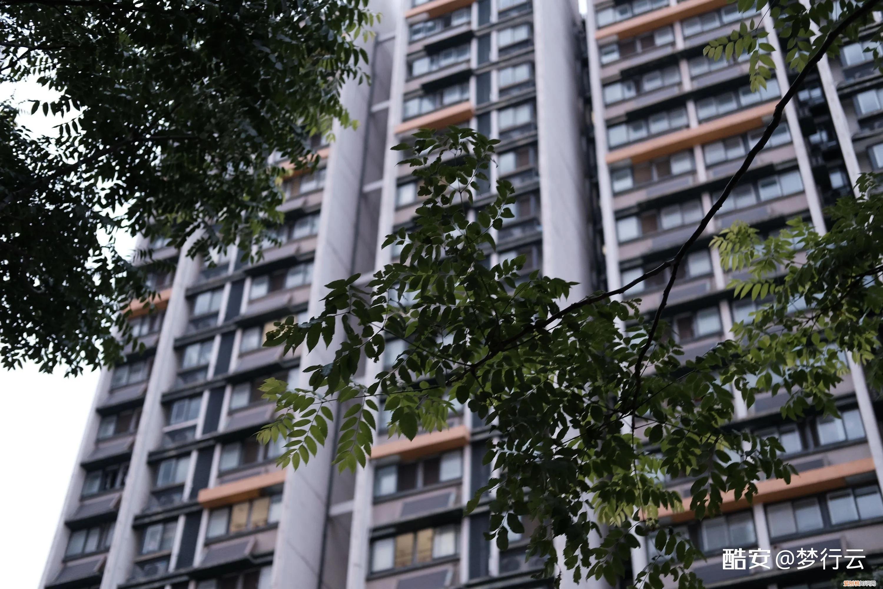 索尼nex3n值得买吗