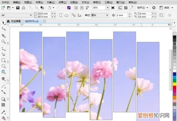 cdr该如何才能切图,cdr怎么把图形分成两半