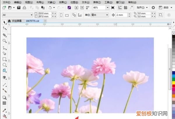 cdr该如何才能切图,cdr怎么把图形分成两半