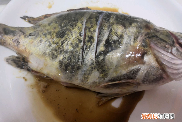 红烧桂鱼的做法