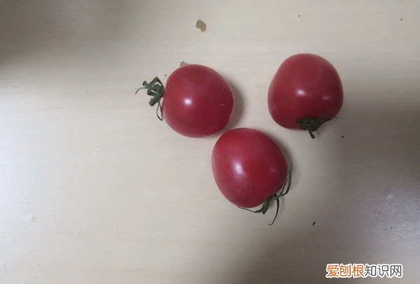 红烧桂鱼的做法