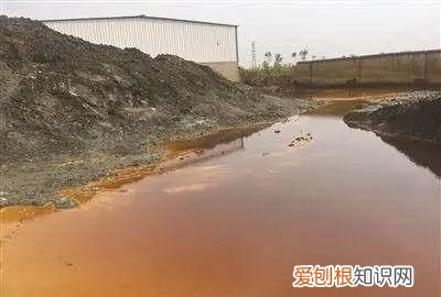 鱼塘里的水锈怎么去除